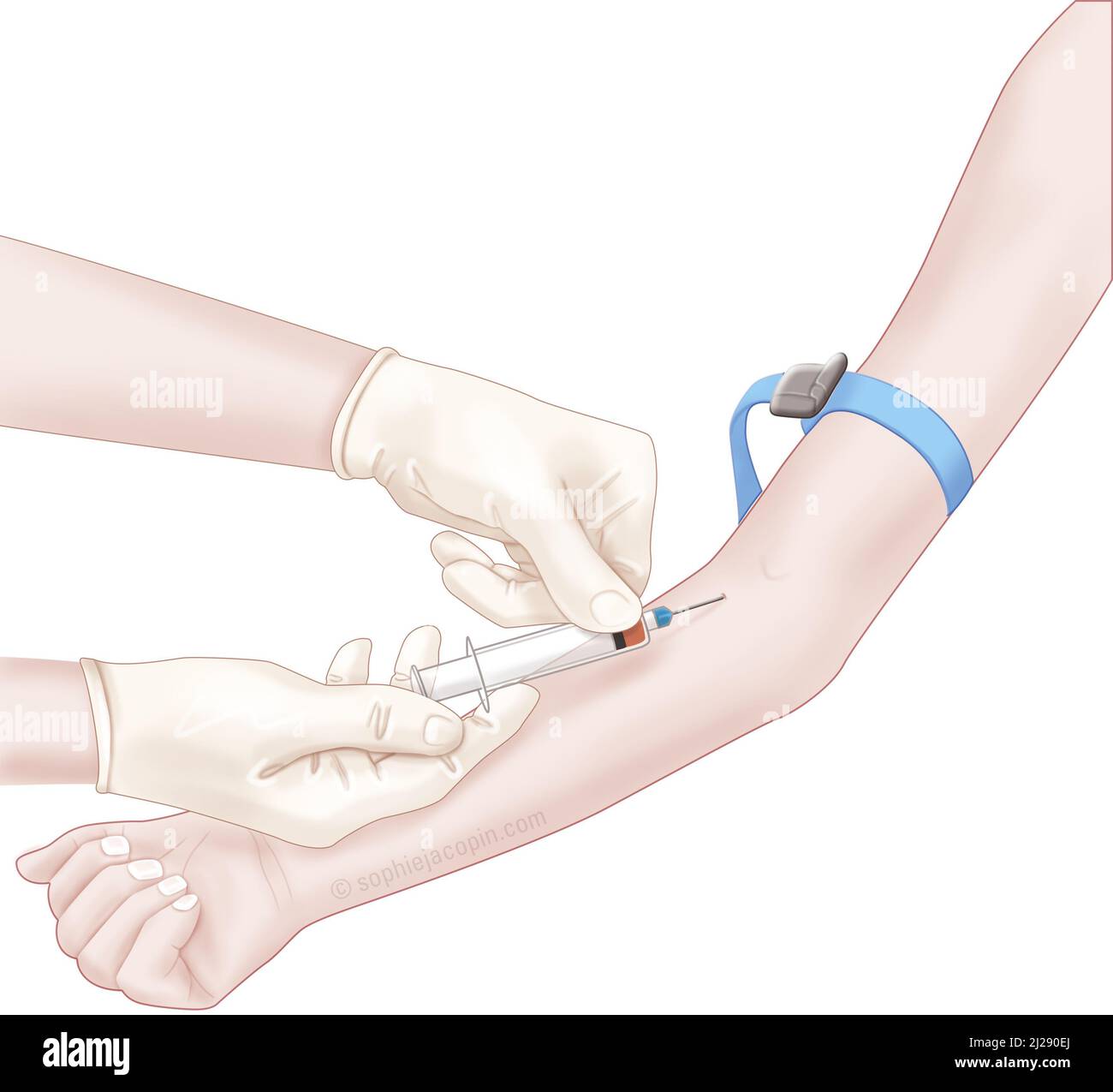 Infermiere che prende il sangue Foto Stock