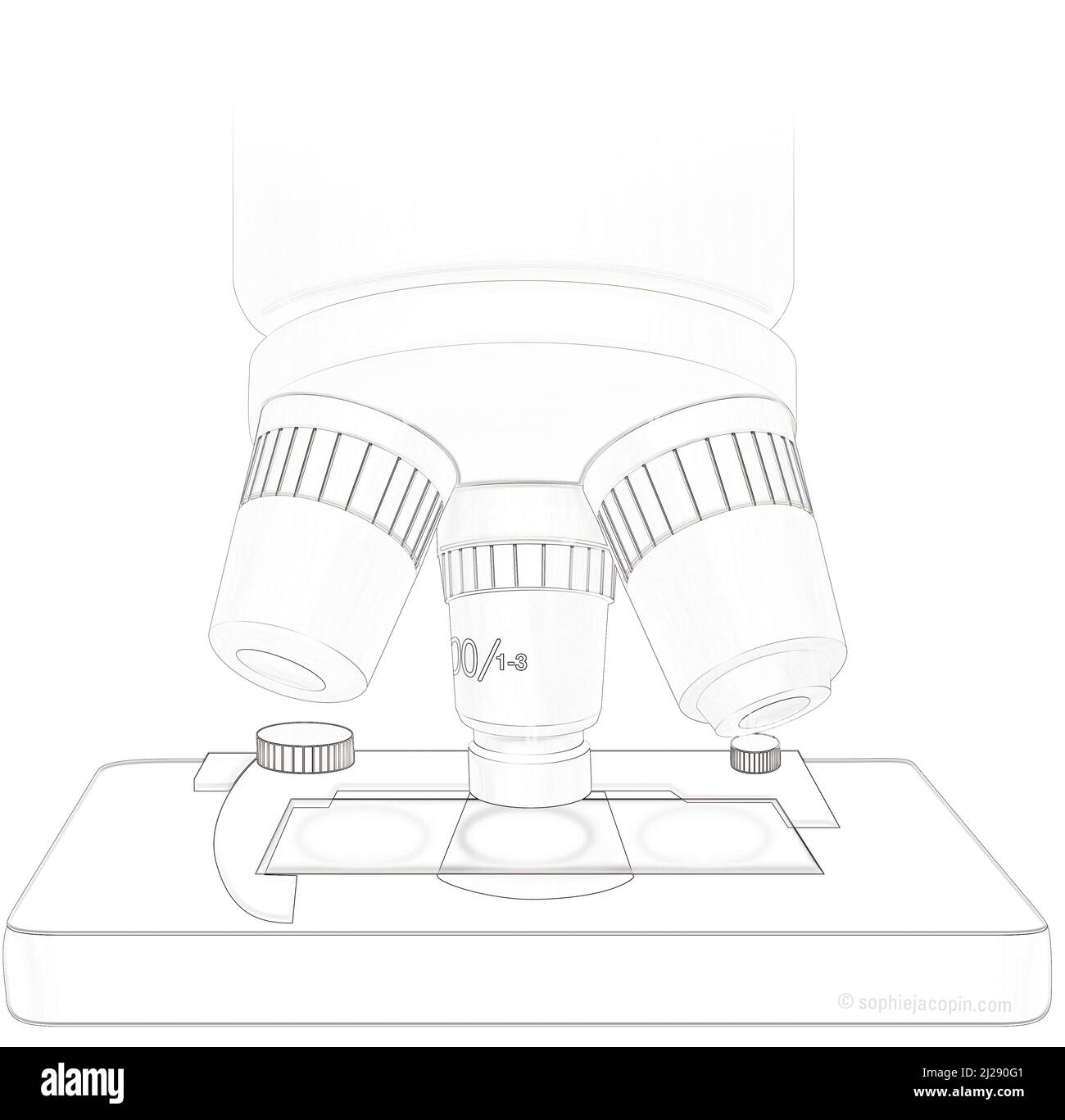 Analisi al microscopio Foto Stock