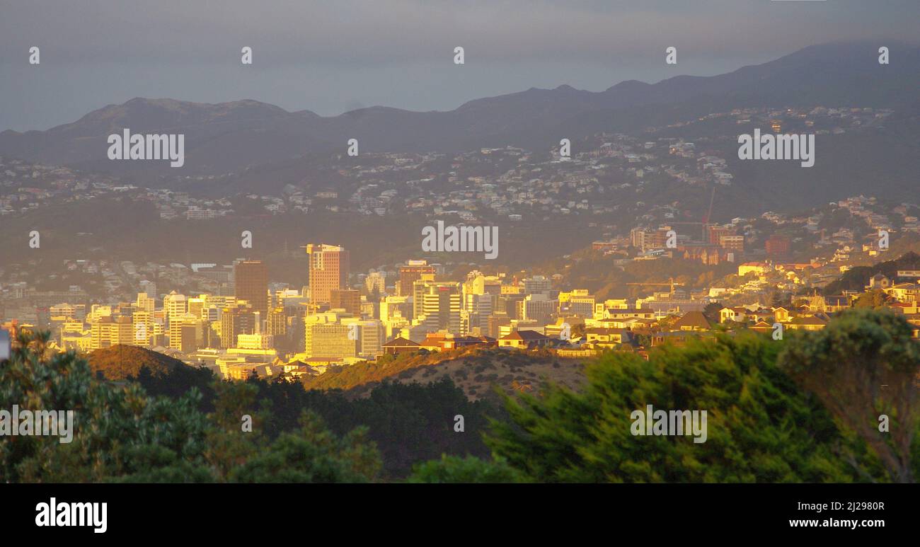 Wellington CBD, i suoi edifici illuminati in modo caldo in una mattinata d'inverno Foto Stock