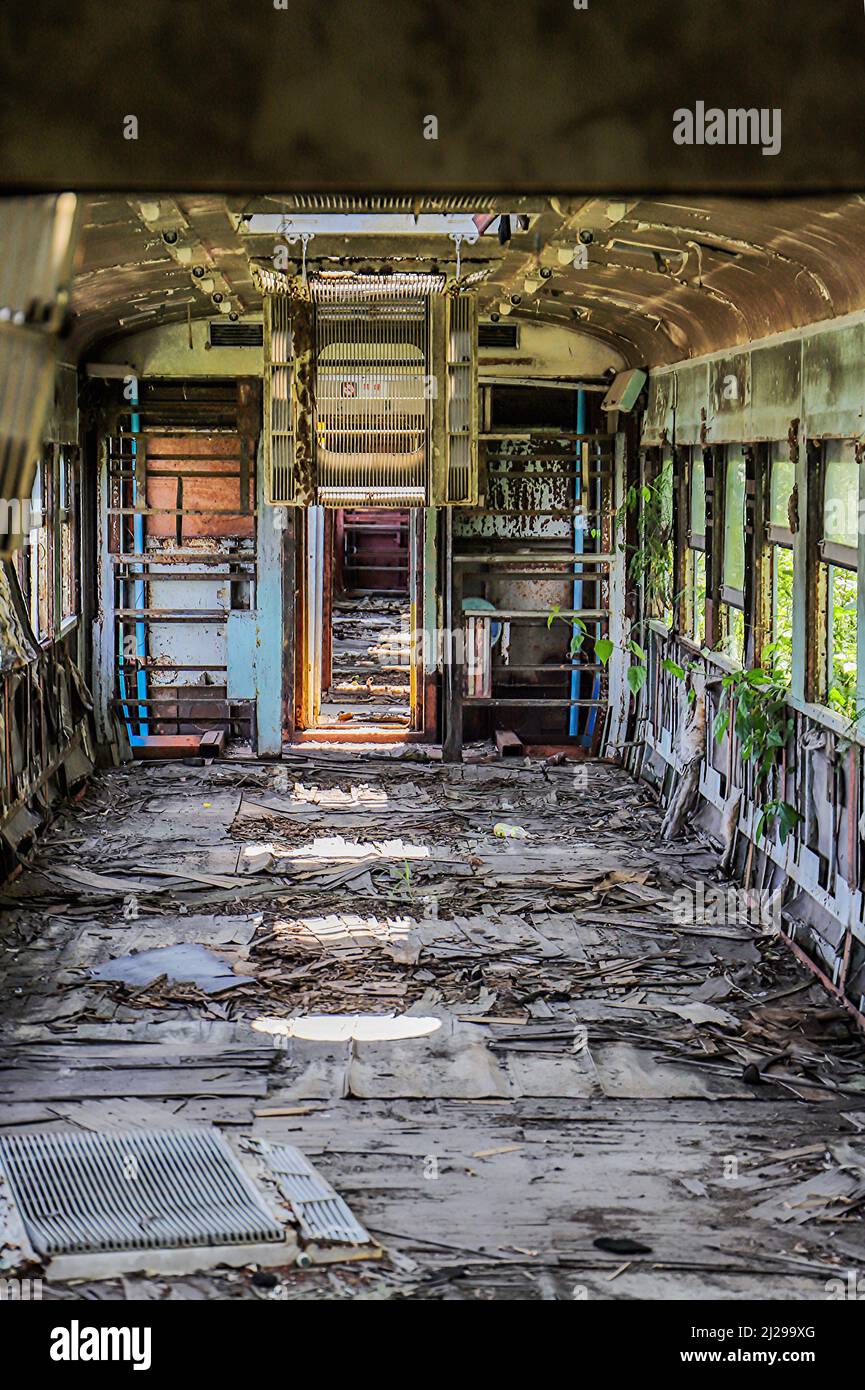 L'interno di un vagone ferroviario abbandonato con foglie in crescita sulle sue finestre e luce del sole che passa attraverso Foto Stock