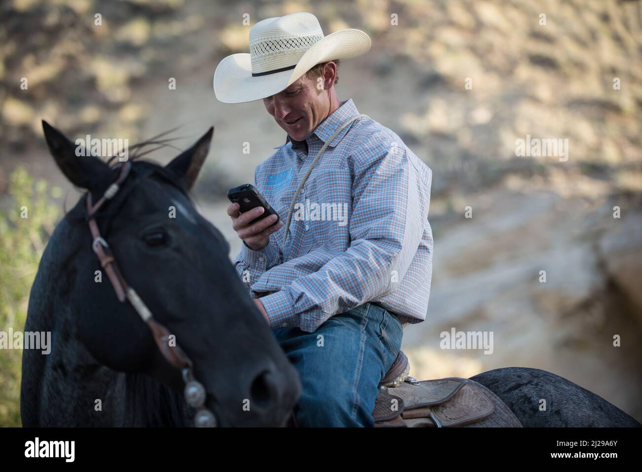 Cowboy a cavallo con smartphone mobile. Cowboy con iPhone. Cowboy con buone notizie. Cowboy moderno. Uomo a cavallo utilizzando i social media, Wyoming, USA Foto Stock
