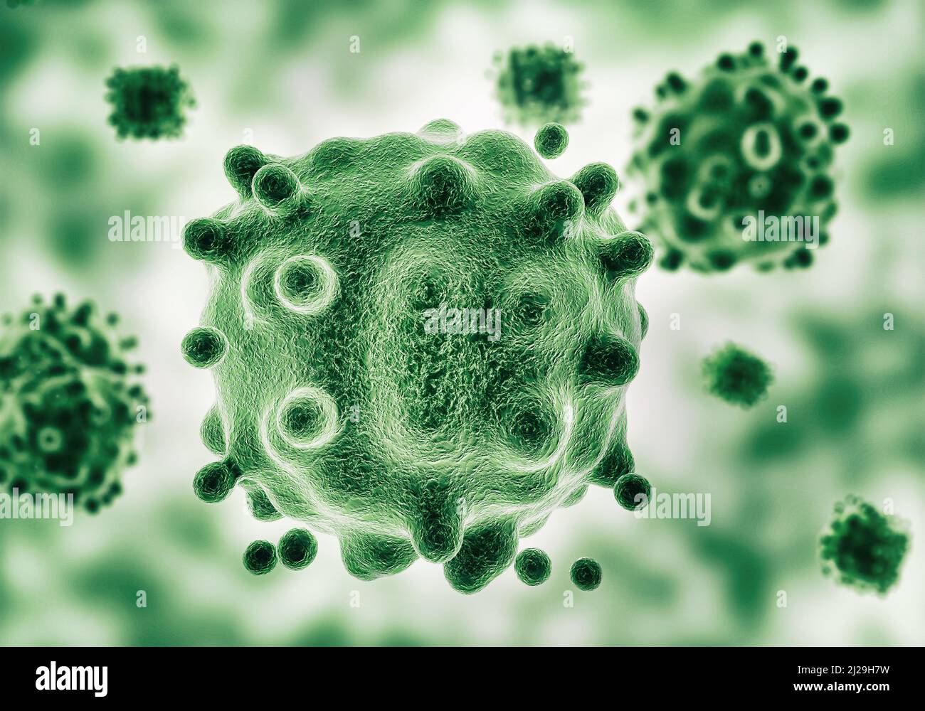 Potremmo avere un'epidemia sulle nostre mani. Immagine di batteri vista al microscopio. Foto Stock
