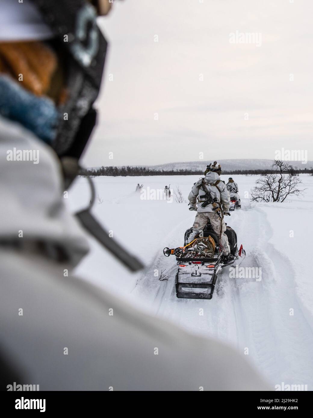 I membri del 1-10 Special Forces Group (Airborne) partecipano alle esercitazioni di manovra in preparazione della loro partecipazione alla II Marine Expeditionary Force (II MEF) Exercise Cold Response 2022 in Svezia nel mese di febbraio. 1-10 SFG(A) ha partecipato al Swedish Armed Forces Subarctic Warfare Center per prepararsi all'esercizio guidato dalla marina. La certificazione includeva le manovre su sci, motoslitte e a piedi in ambienti austeri come l'alto nord. Questa formazione a sostegno di Cold Response ha garantito a tutti gli alleati e i partner di affrontare gli impegnativi scenari di formazione affrontati durante l'esercizio Foto Stock