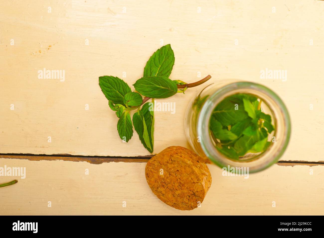 Foglie di menta fresca su una vetrata di un rustico tavolo di legno bianco Foto Stock