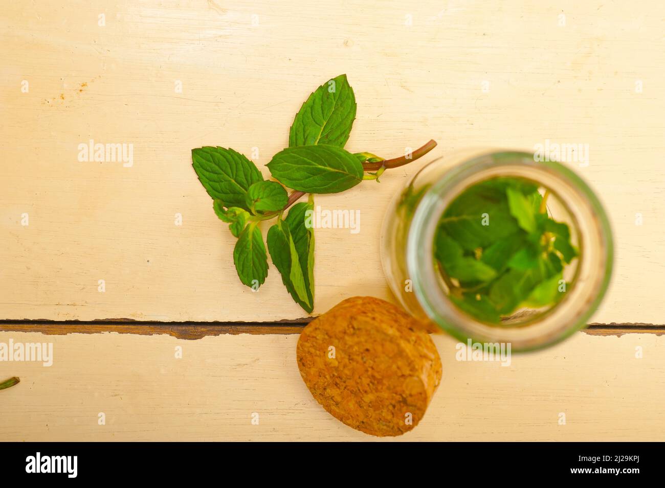 Foglie di menta fresca su una vetrata di un rustico tavolo di legno bianco Foto Stock