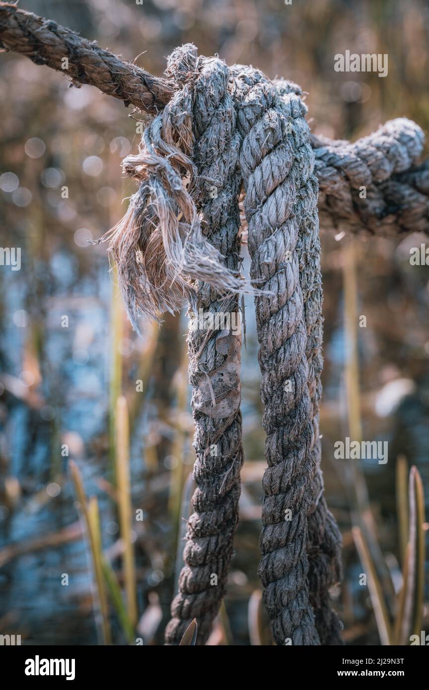 Una vecchia corda di iuta grigia esposta al tempo, Hannover, bassa Sassonia, Germania Foto Stock