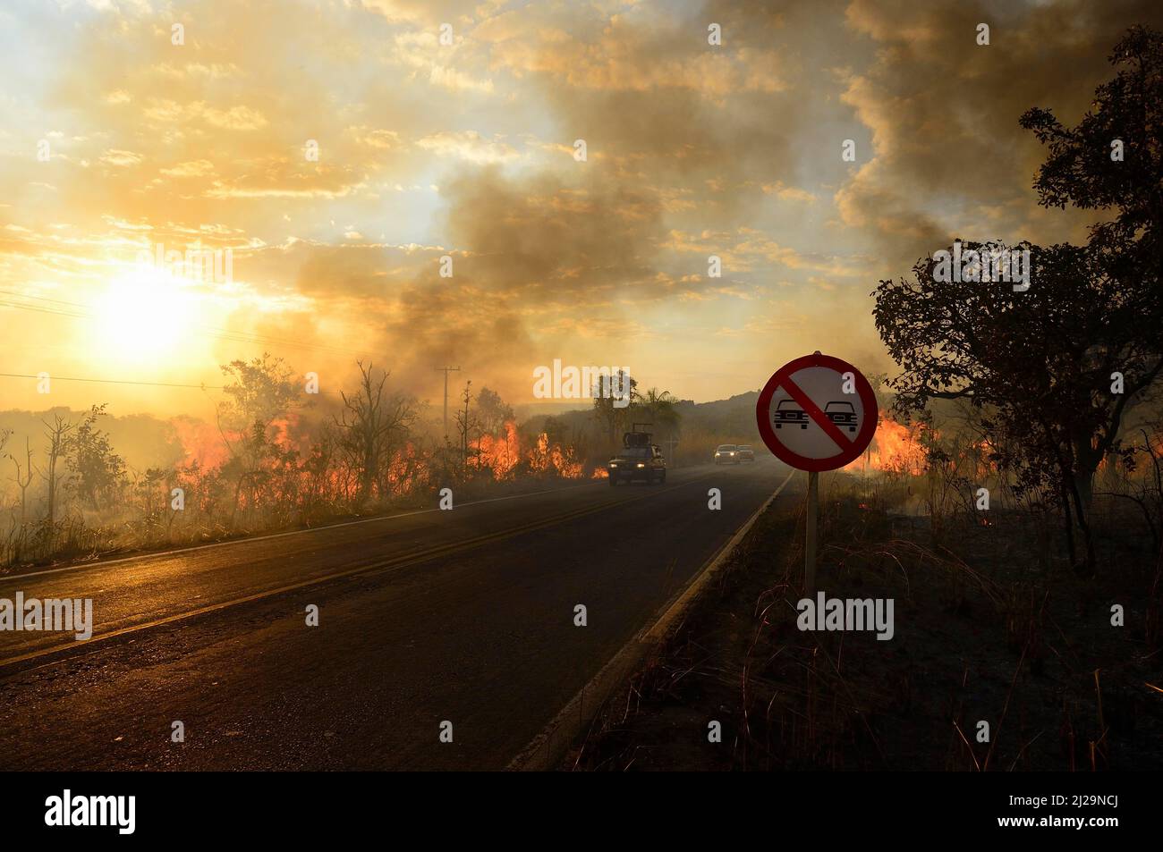 Nessun segnale di sorpasso ad un incendio sulla strada principale 251 al tramonto, NP Chapada dos Guimaraes, Mato Grosso, Brasile Foto Stock