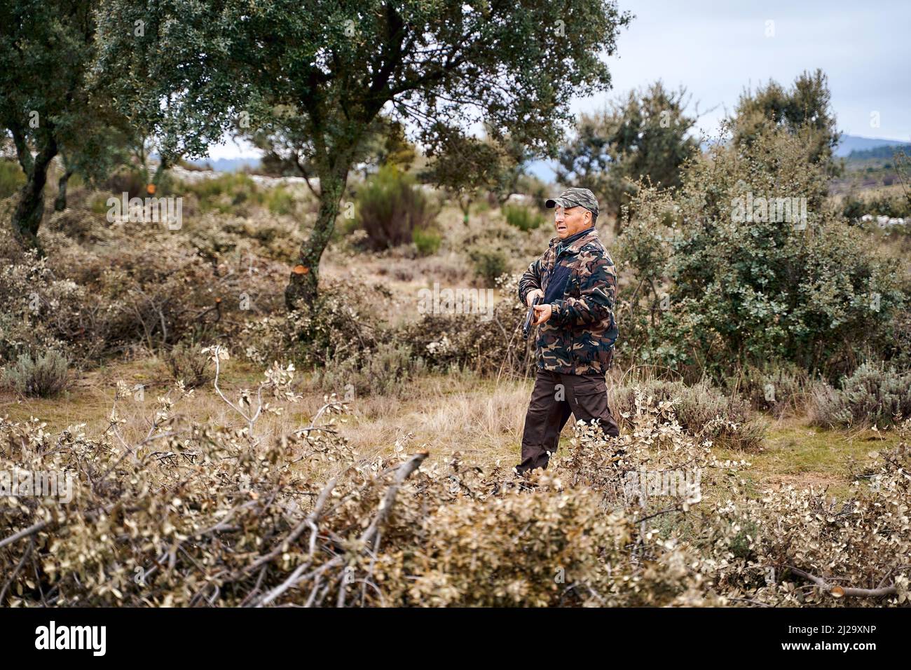 Cacciatore maschile in camouflage outerwear e cappellino che porta una pistola a piedi nel campo Foto Stock