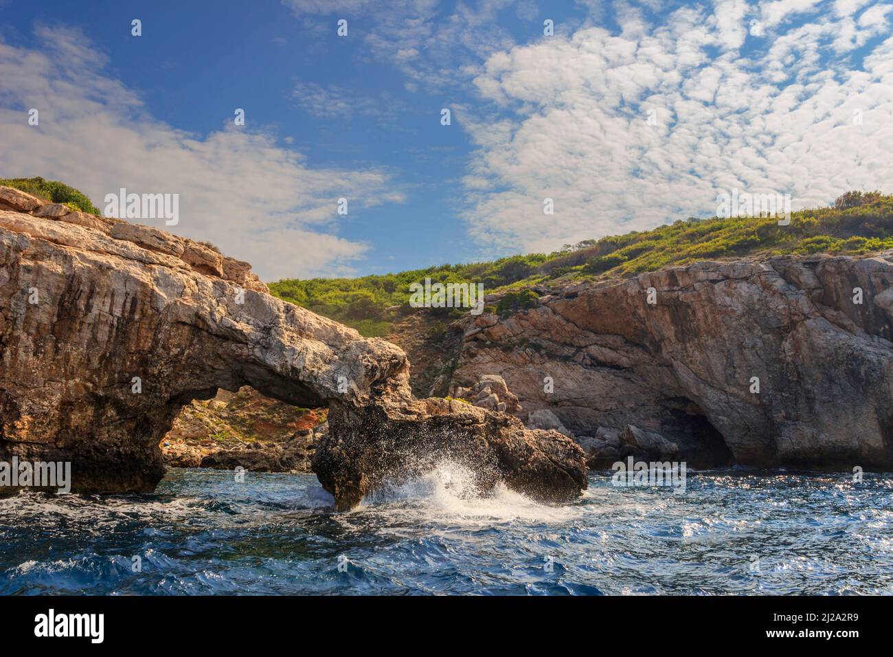 Paesaggio naturale del Parco Nazionale del Gargano: Costa dell'arcipelago delle Isole Tremiti, Italia (Puglia). Arco naturale e le scogliere sormontate da pino Aleppo . Foto Stock