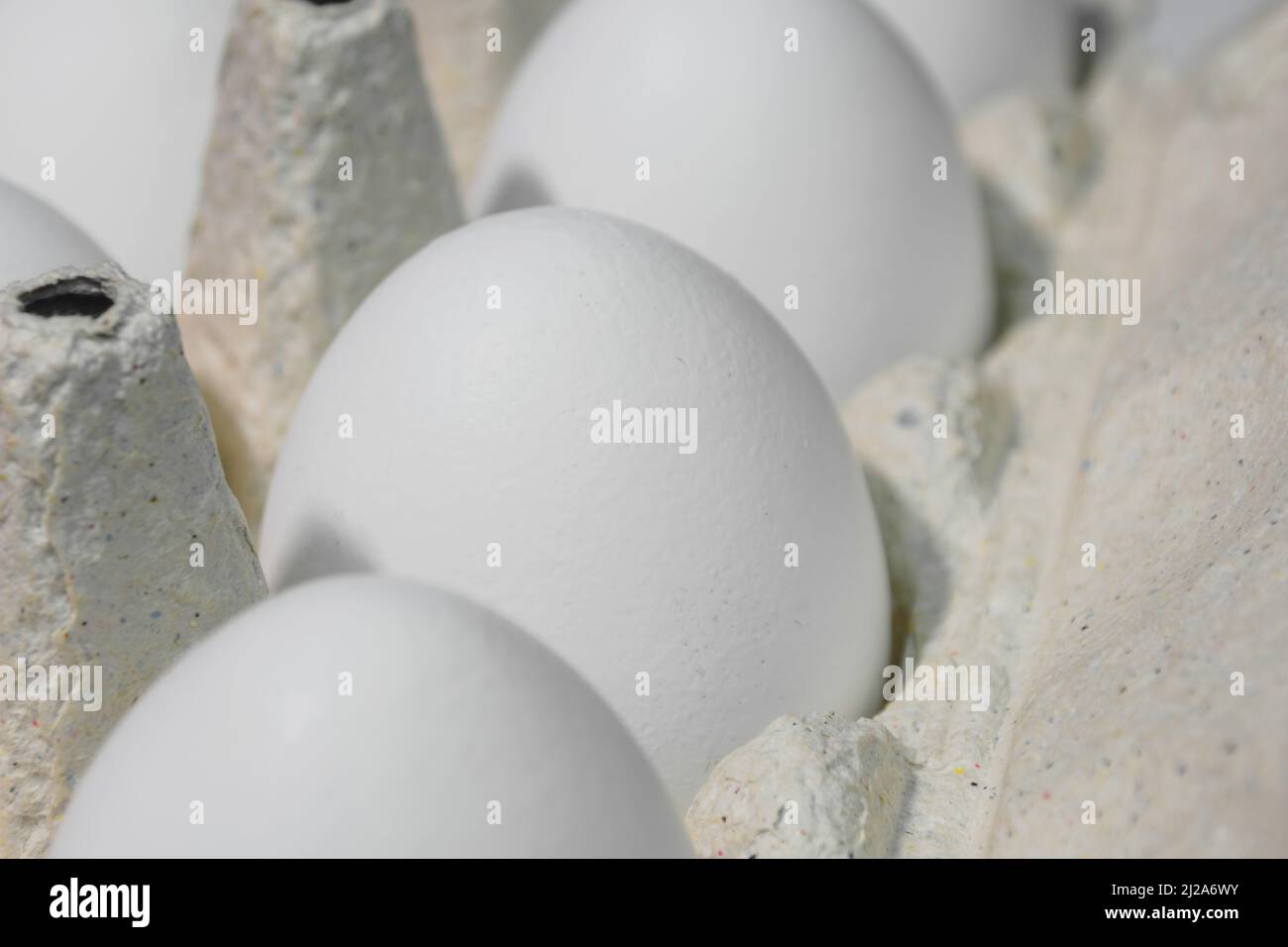 Le uova bianche di pollo sono in una scatola di cartone Foto Stock