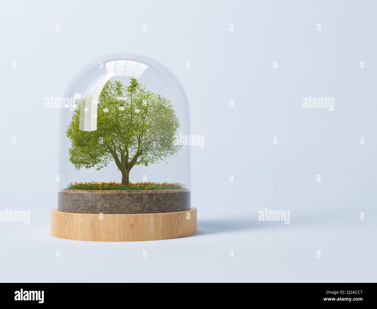 3d raffigurazione resa di albero che cresce sotto la cupola su sfondo blu per concetto di protezione dell'ambiente e di conservazione della natura. Foto Stock