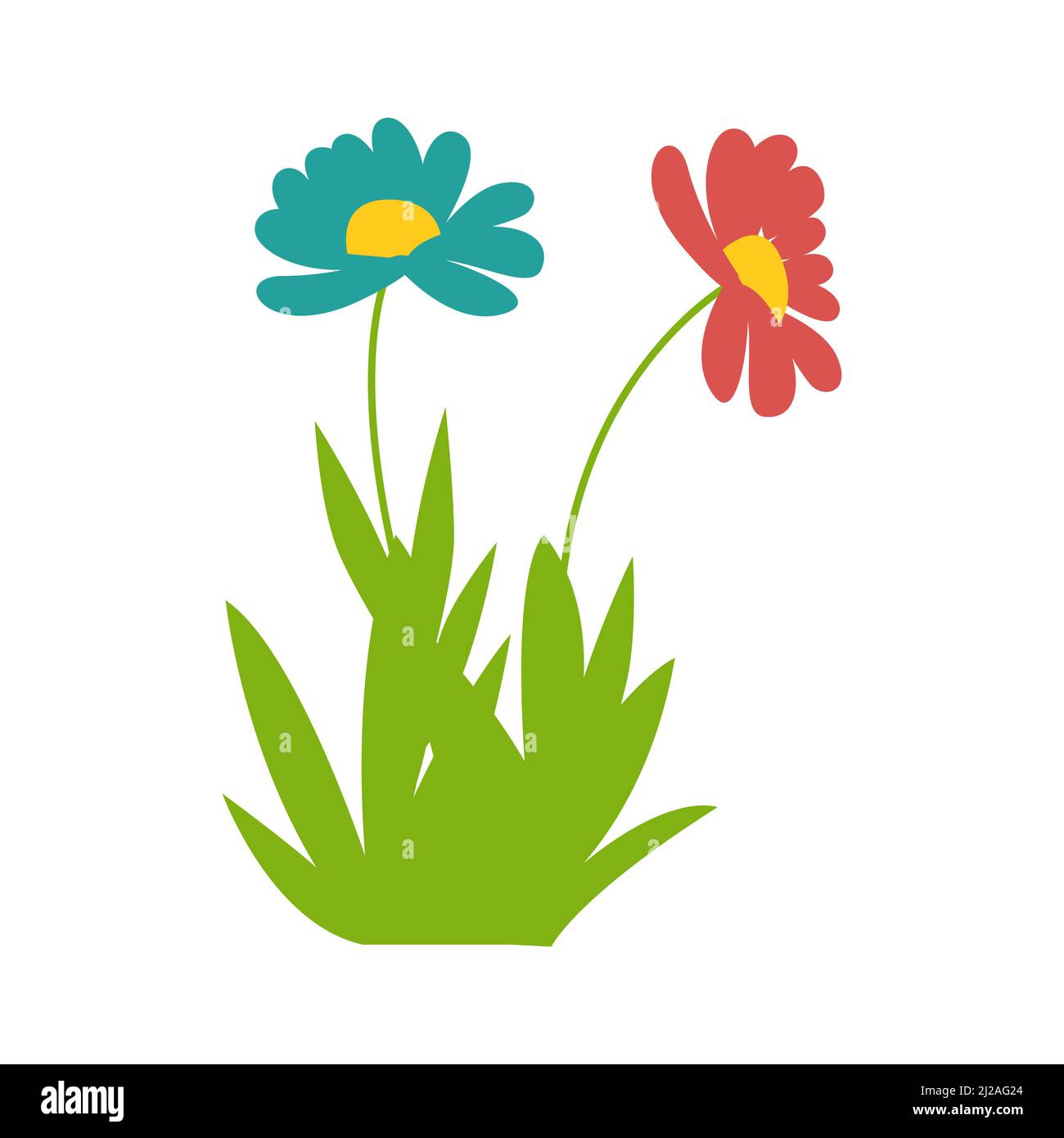 Due fiori di gerbera, pianta di primavera, illustrazione del vettore. Chamomiles Illustrazione Vettoriale