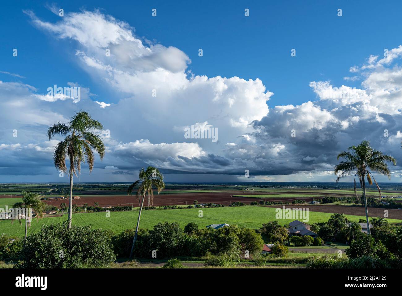 La tempesta estiva nuvole su campi di canna, Bundaberg Queensland Foto Stock