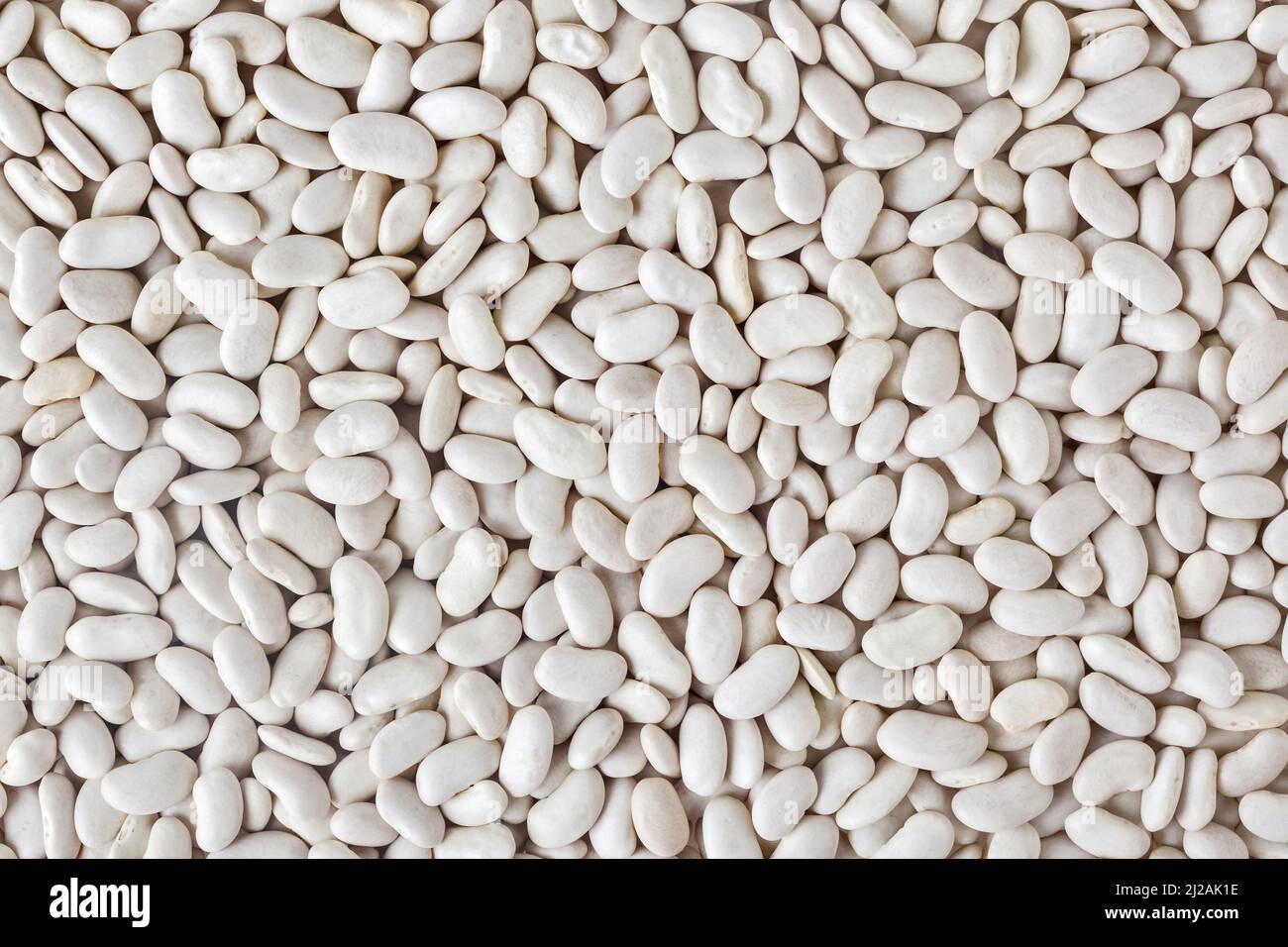 Fondo di fagioli bianchi non cotti Foto Stock