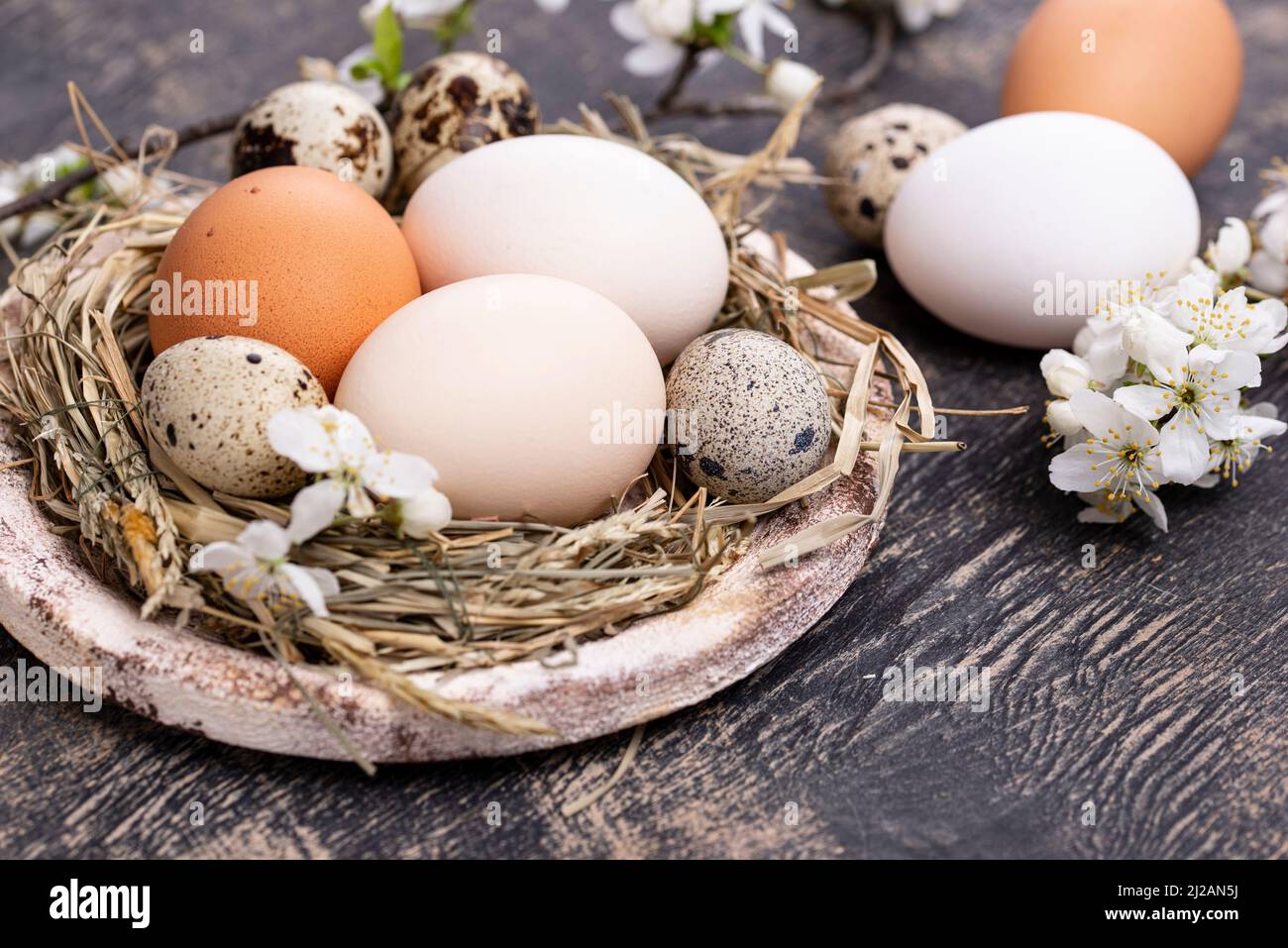 Composizione pasquale con uova e ramo fiorente Foto Stock