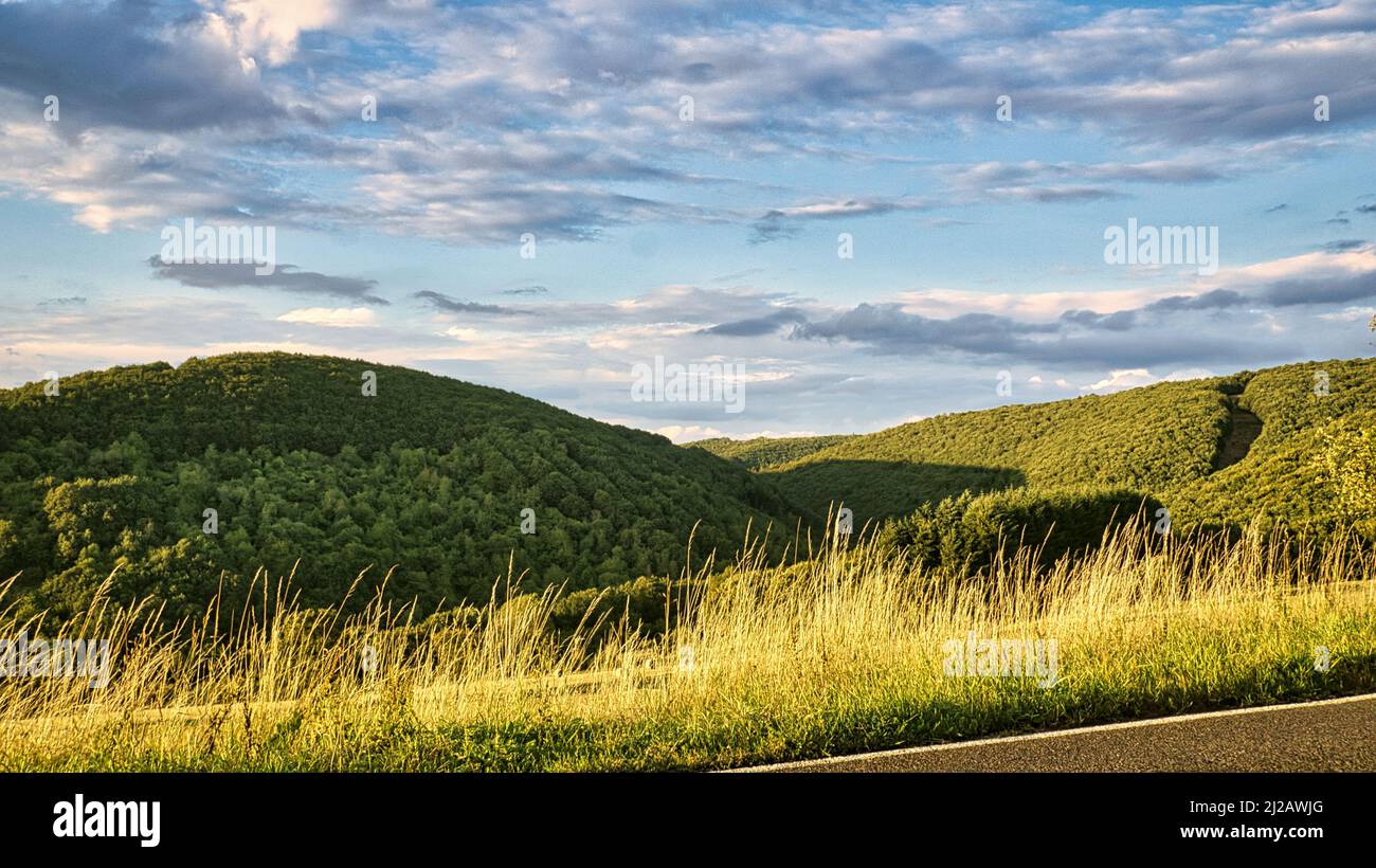 Tramonto in Saarland su un prato con alberi e vista sulla valle. Un caldo clima di luce in arancio, rosso e oro Foto Stock