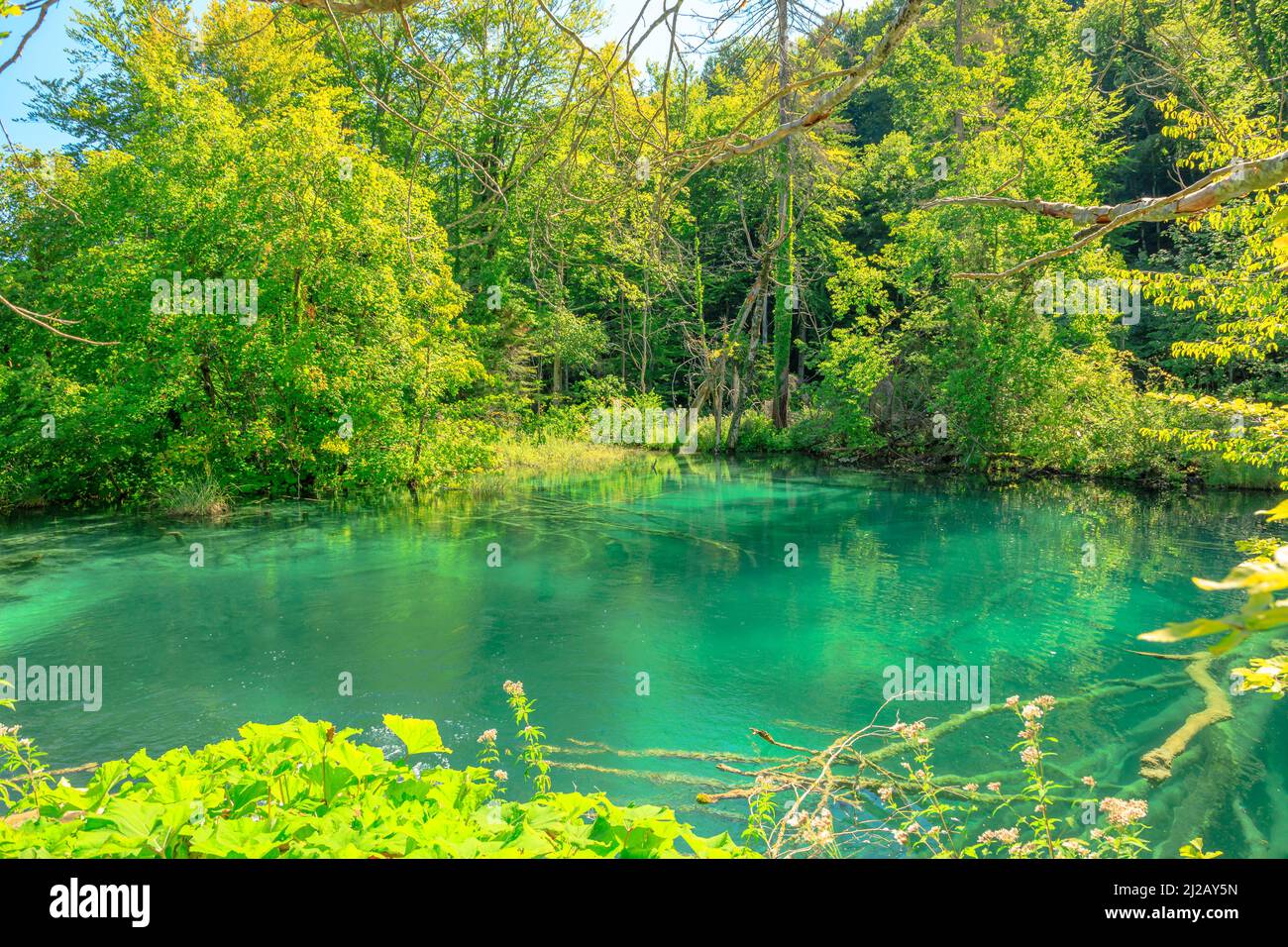 Il lago Milino Jezero del Parco Nazionale dei Laghi di Plitvice in Croazia nella regione di Lika. Patrimonio mondiale dell'UNESCO della Croazia di nome Plitvicka Jezera. Foto Stock