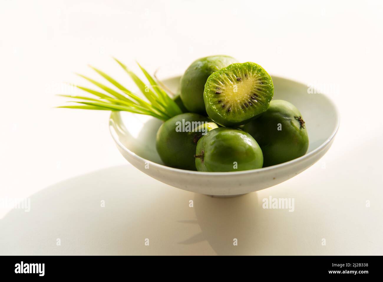 Ancora vita, mini kiwi frutti Foto Stock