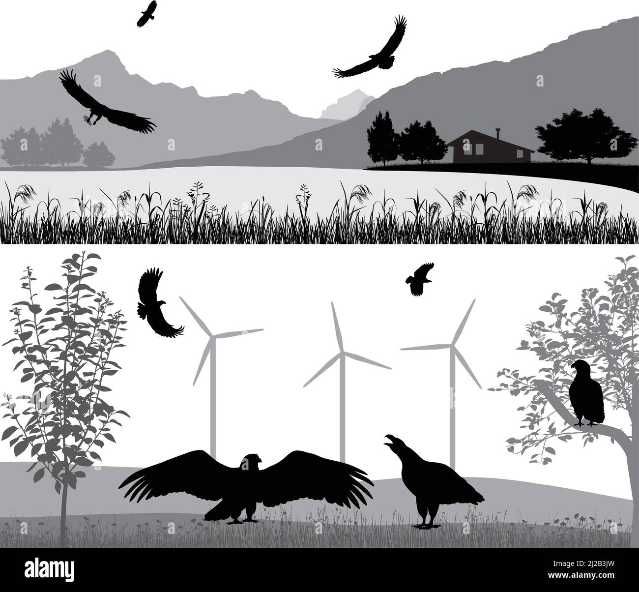 Sagome di aquile di mare contro il paesaggio e all'aperto Illustrazione Vettoriale