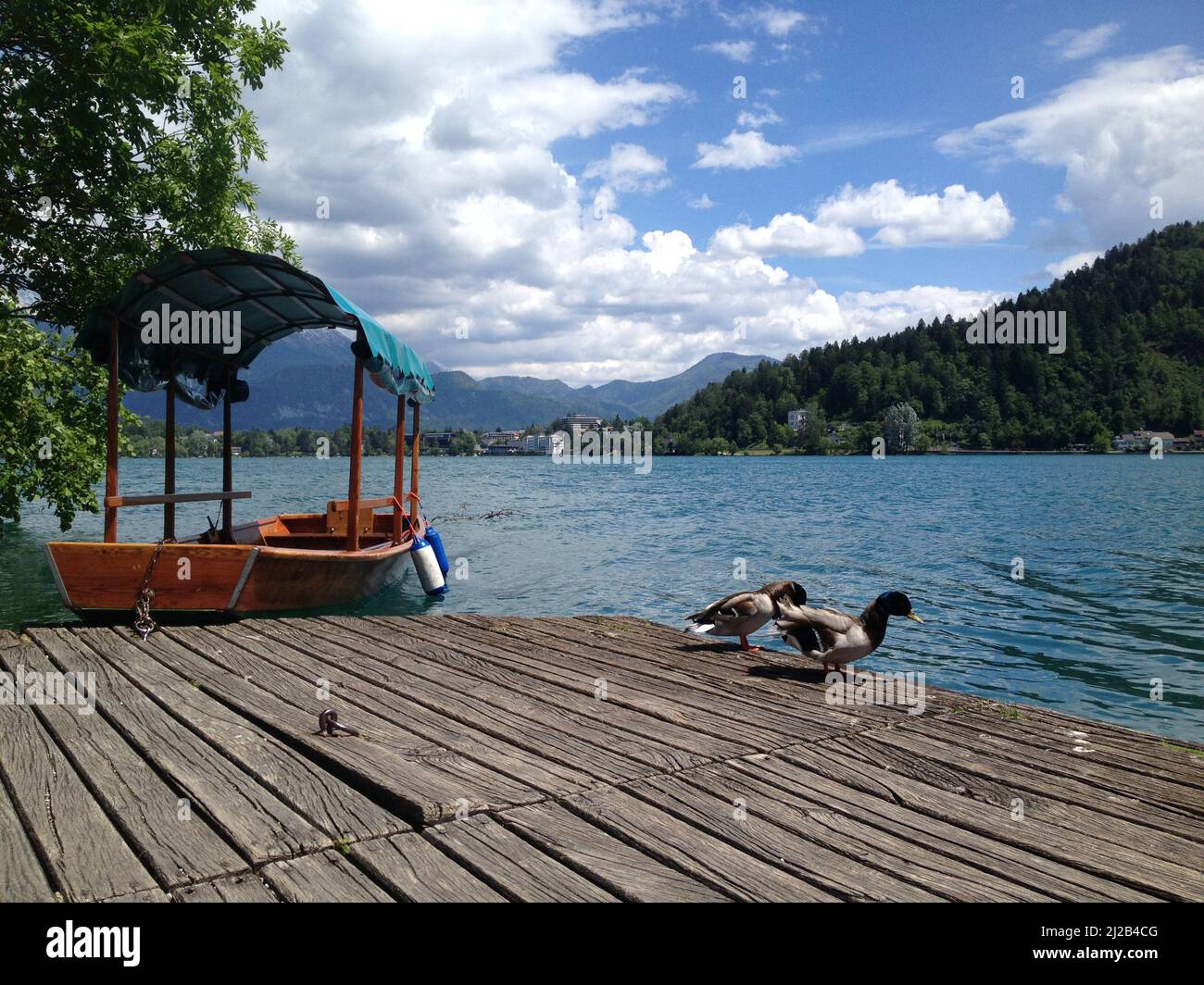 Luogo romantico come il lago di Bled in Slovenia Foto Stock