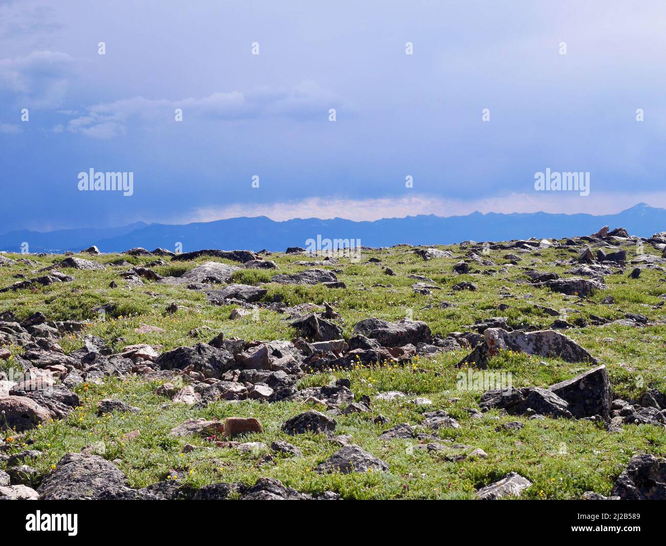 Vista mozzafiato dal Beartooth Pass, Wyoming. USA. Foto di alta qualità Foto Stock