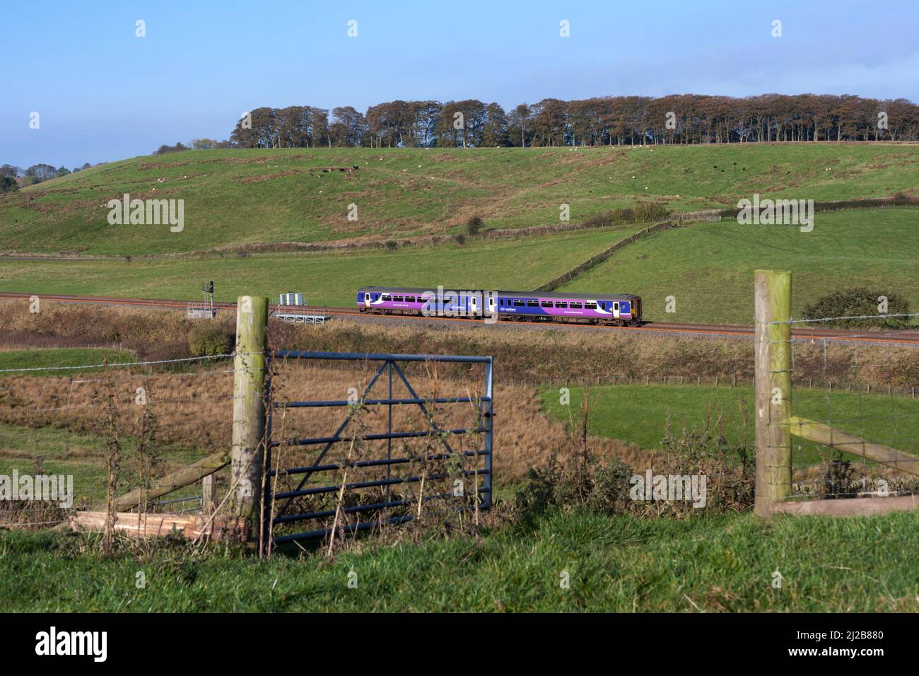 Ferrovia nord classe 156 treno sprinter 156454 passando Gilsand sulla panoramica linea ferroviaria della valle di Tyne vista attraverso un cancello aperto nella campagna Foto Stock