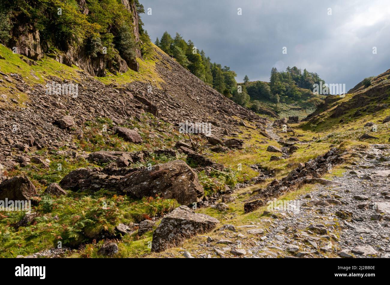 Percorso attraverso le ganasce di Borrowdale in direzione di Castle Crag durante l'inizio dell'autunno nel Lake District, Cumbria, Inghilterra. Il sole splende Foto Stock