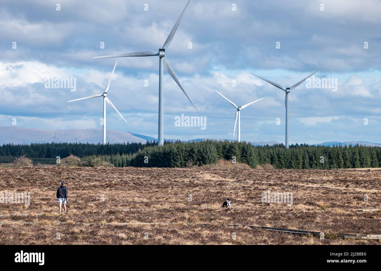 Blawhorn Moss National Nature Reserve, West Lothian, Scozia, Regno Unito, 31st marzo 2022. Tempo britannico: Un uomo cammina il suo cane al sole con turbine eoliche Burnhead windfarm in lontananza. Credit: Sally Anderson/Alamy Live News Foto Stock