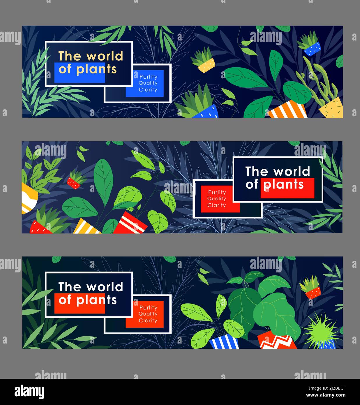 Set di design per striscioni ecologici. Piante domestiche, piante domestiche in pentole illustrazione vettoriale con campioni di testo. Modello per volantini a effetto serra o per ecological Bro Illustrazione Vettoriale