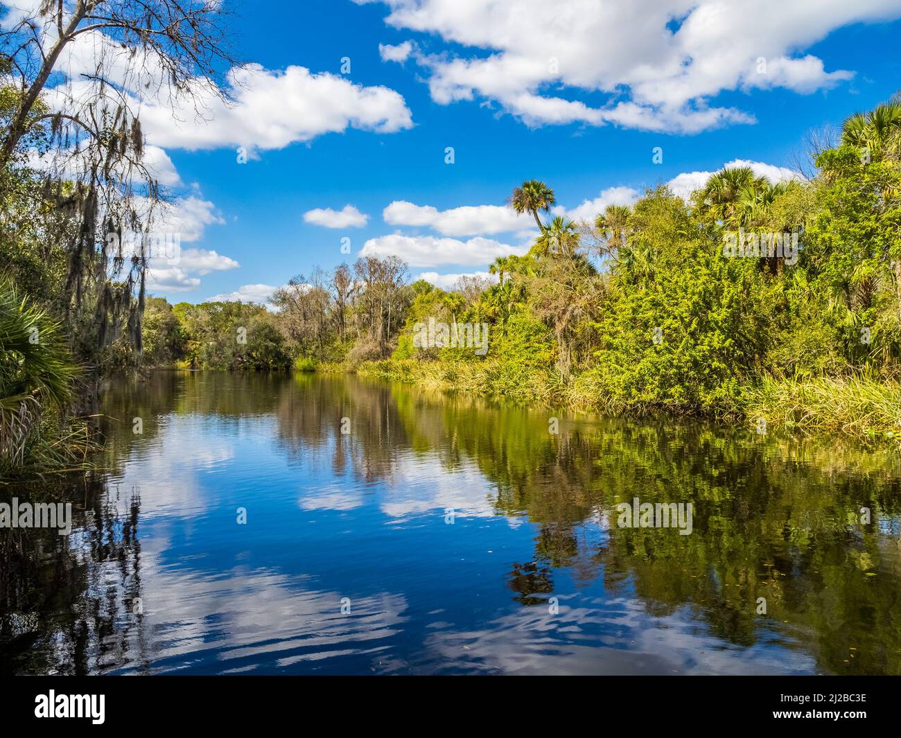 Shell Creek all'Hathaway Park a Punta Gorda USA Foto Stock