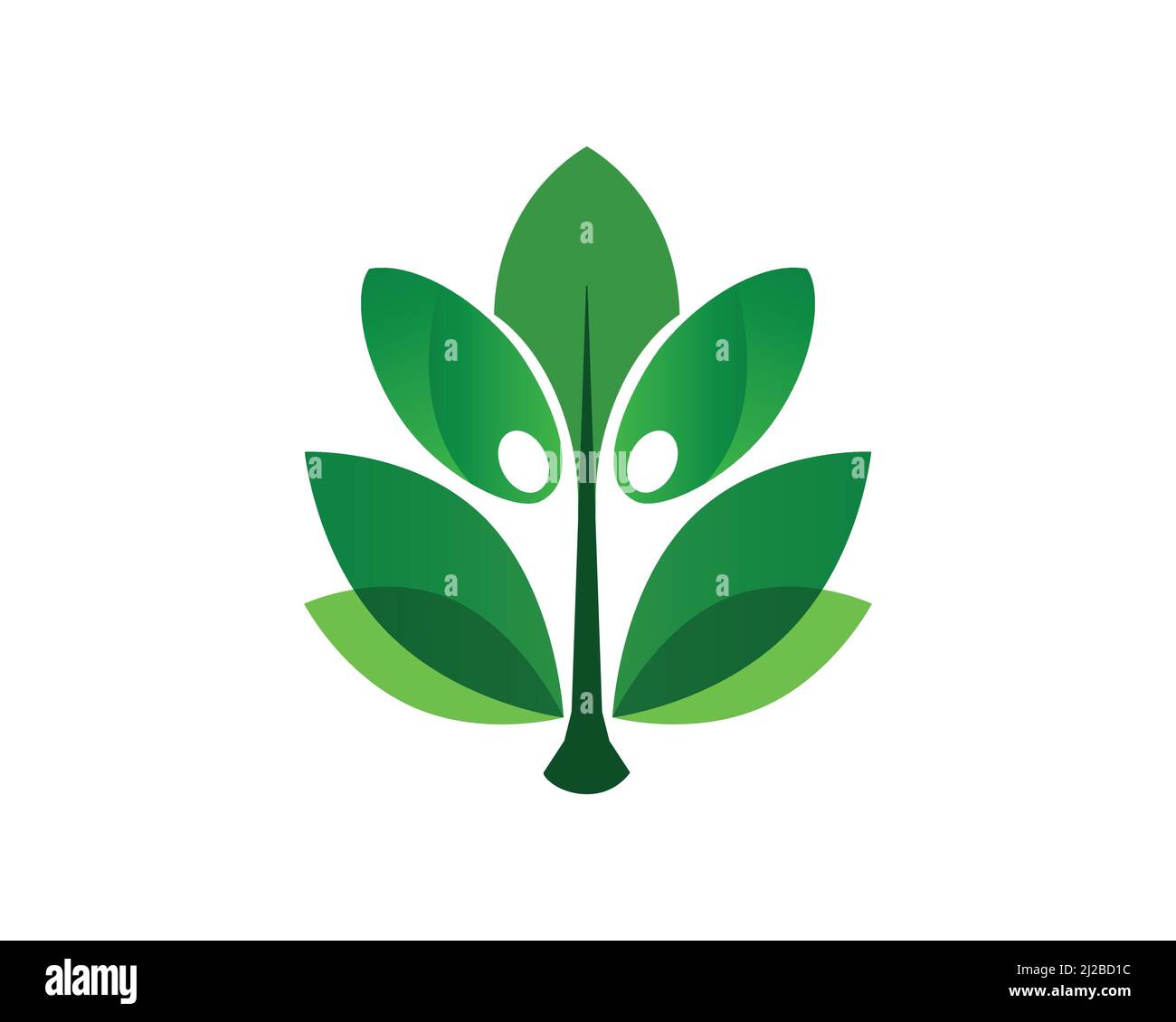 Foglie di benessere e simbolismo erboristico Illustrazione Vettoriale