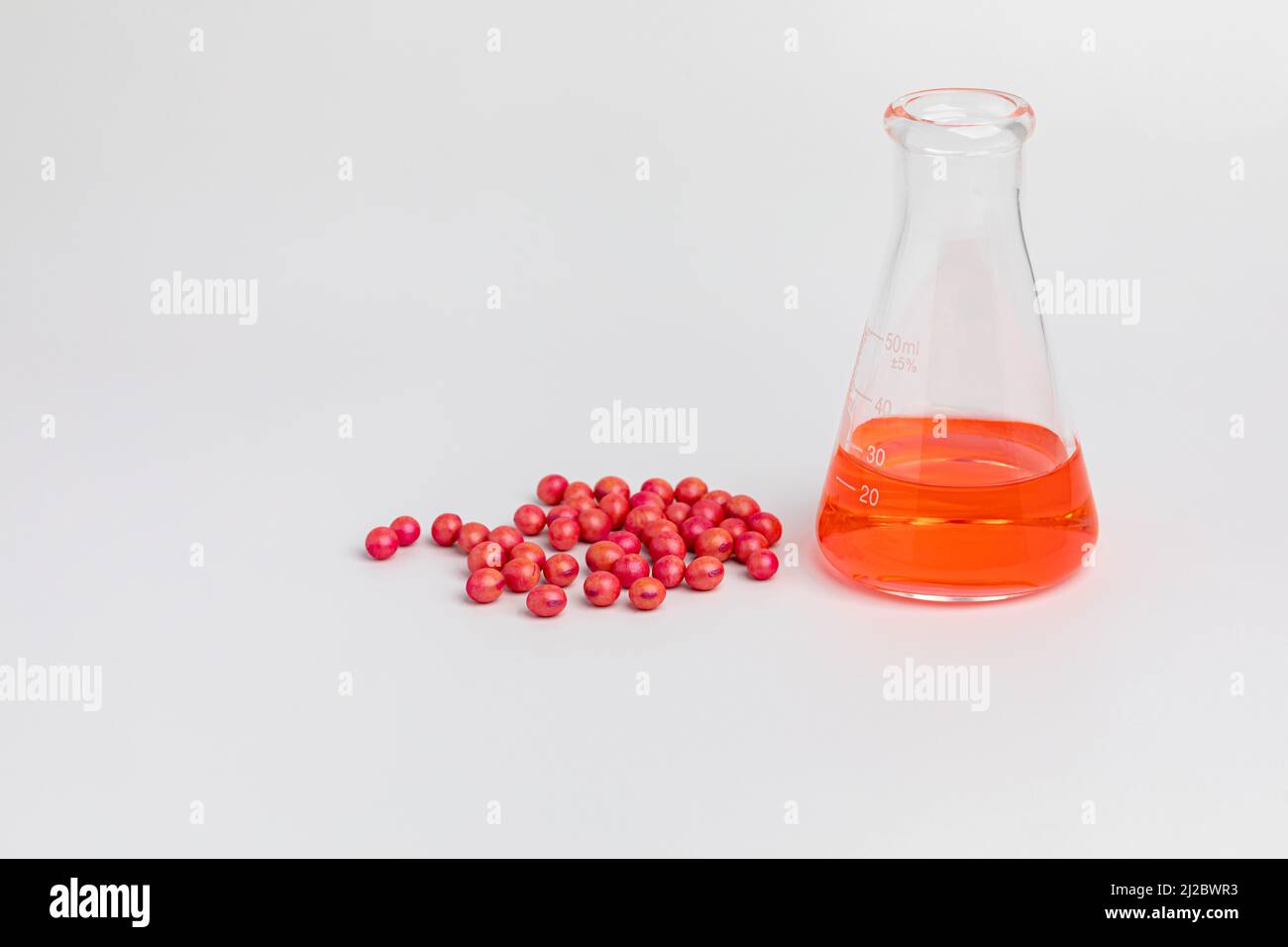 Becher da laboratorio e semi di soia trattati. Trattamento dei semi di soia per insetto, controllo dei funghi e concetto di gestione delle malattie Foto Stock
