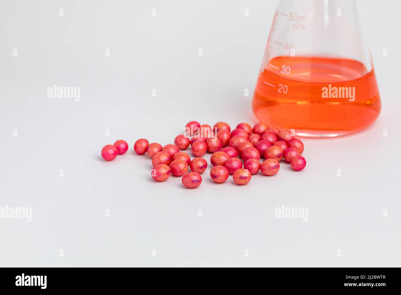 Becher da laboratorio e semi di soia trattati. Trattamento dei semi di soia per insetto, controllo dei funghi e concetto di gestione delle malattie Foto Stock