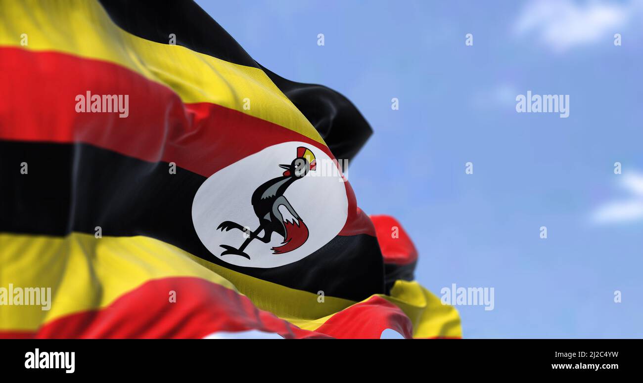 Dettaglio della bandiera nazionale ugandese che sventola nel vento in una giornata limpida. L Uganda è un paese senza sbocco sul mare nell Africa orientale. Messa a fuoco selettiva. Foto Stock