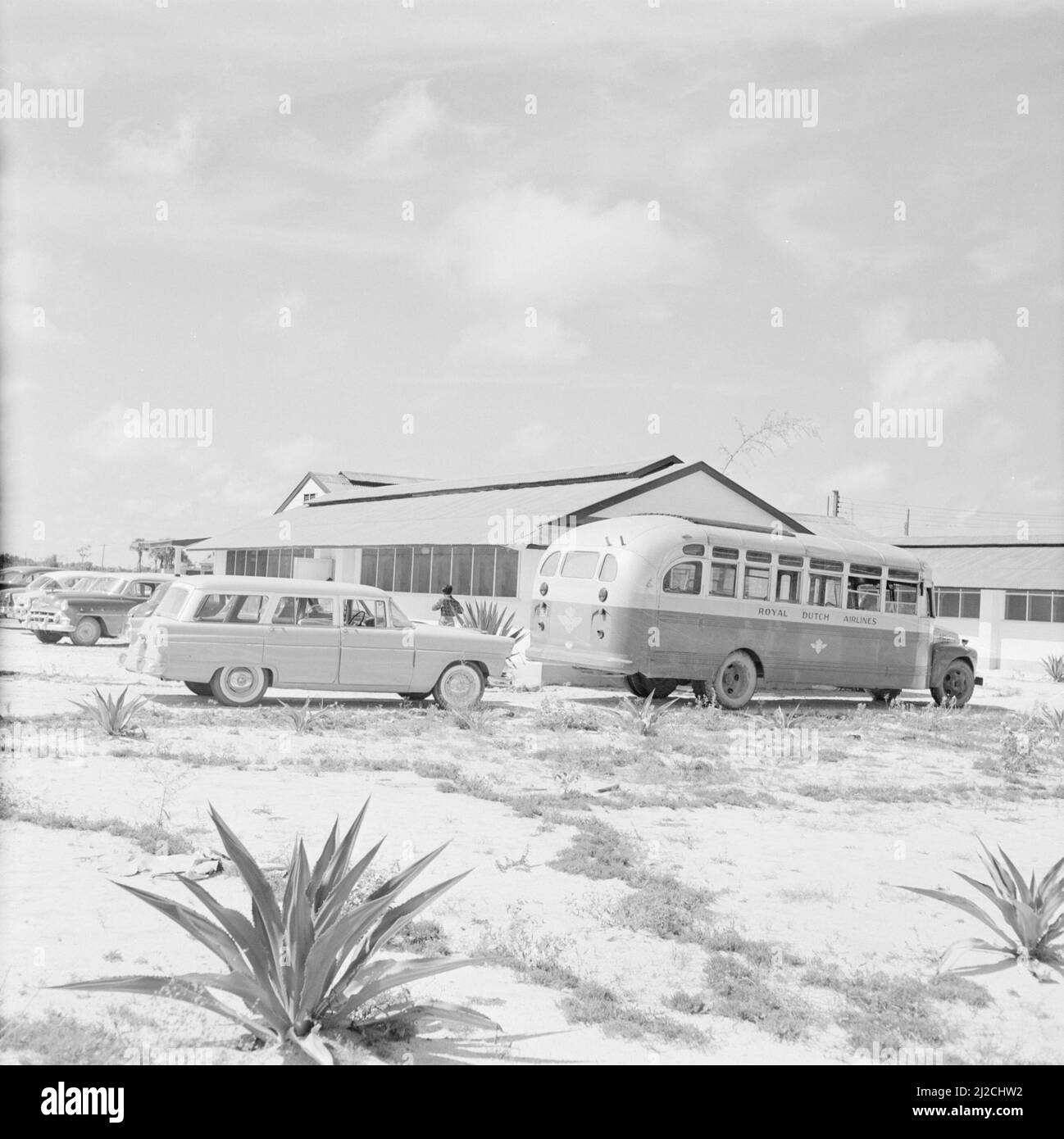 Il parcheggio dell'aeroporto di Zanderij in Suriname ca. Ottobre 1, 1955 Foto Stock
