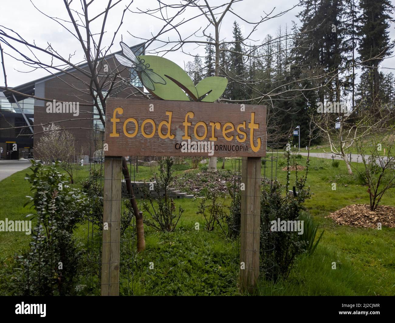 Bothell, WA USA - circa Aprile 2021: Vista della Foresta alimentare all'Università di Washington a Bothell. Foto Stock