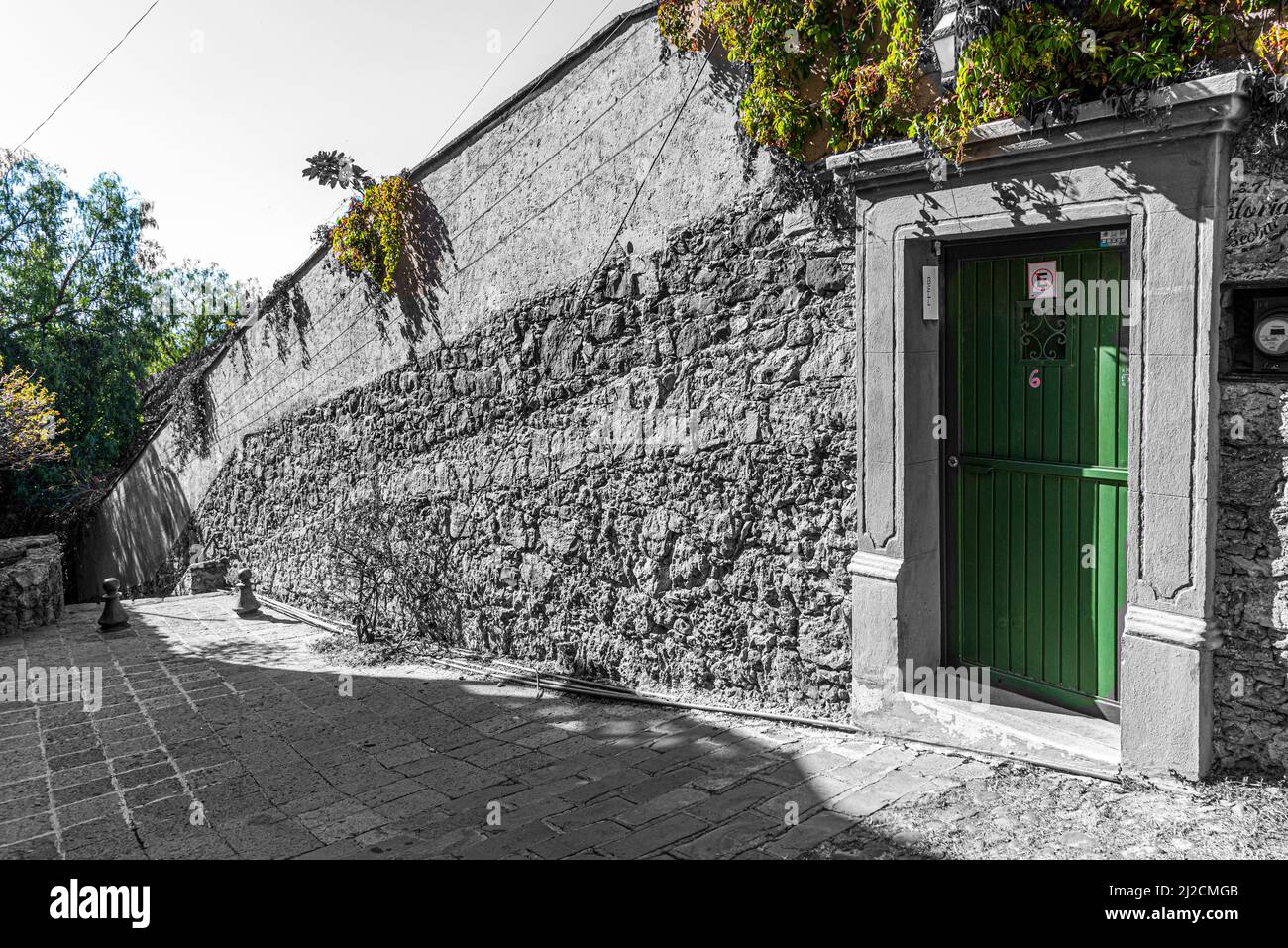 Un'immagine digitalizzata in bianco e nero con una porta e piante dipinte di verde. San Miguel de Allende, Guanajuato, Messico Foto Stock