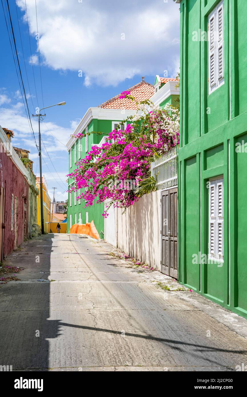 Giornata di sole a Willemstad, Curacao - camminando attraverso vicoli con case dipinte colorate e bouganvillea fiorente Foto Stock