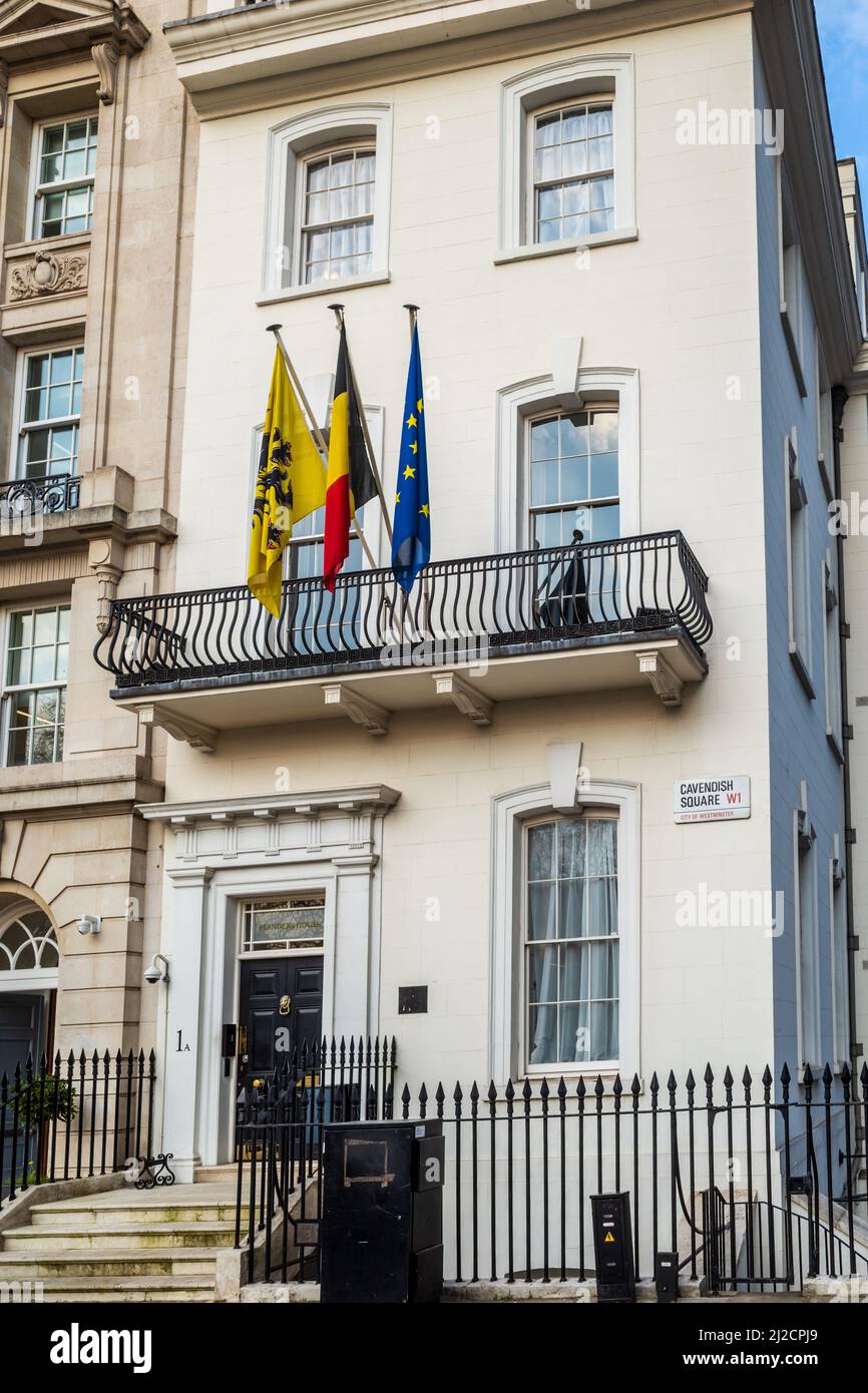 La rappresentanza generale del governo fiammingo, la Flanders House, Cavendish Square, Londra. Rappresentanza diplomatica delle Fiandre, Ambasciata belga. Foto Stock