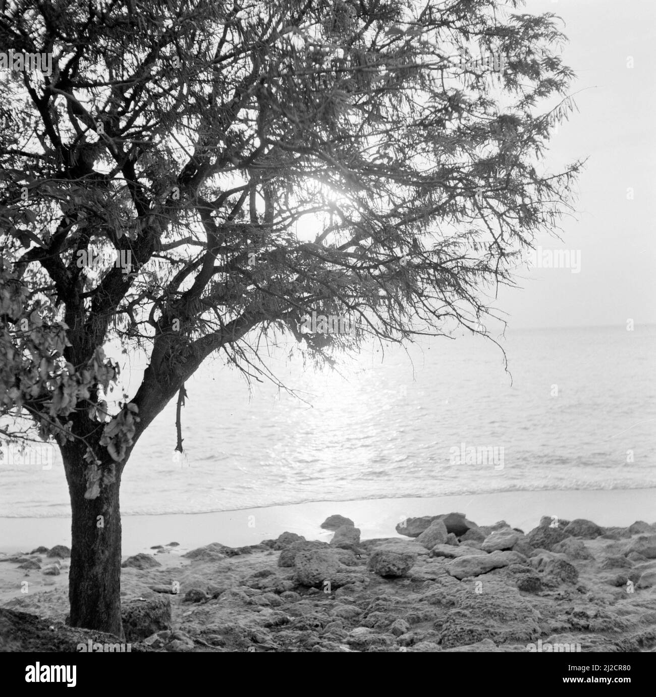 Playa Jeremi sulla costa nord-occidentale di Curacao ca: 1 ottobre 1955 Foto Stock