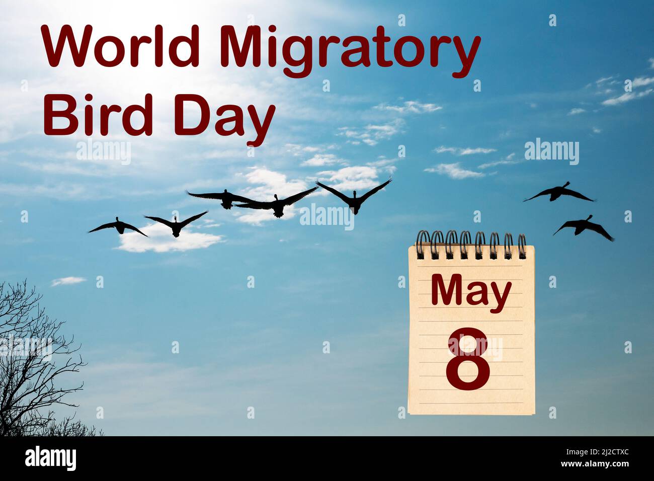 La celebrazione della Giornata Mondiale della migrazione il 8 maggio Foto Stock