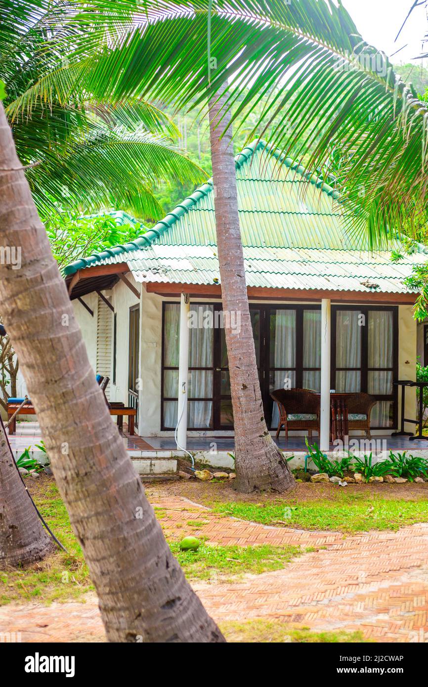 Bungalow in una foresta di palme circondata da verde tropicale. Viaggi e turismo in Asia. Foto Stock