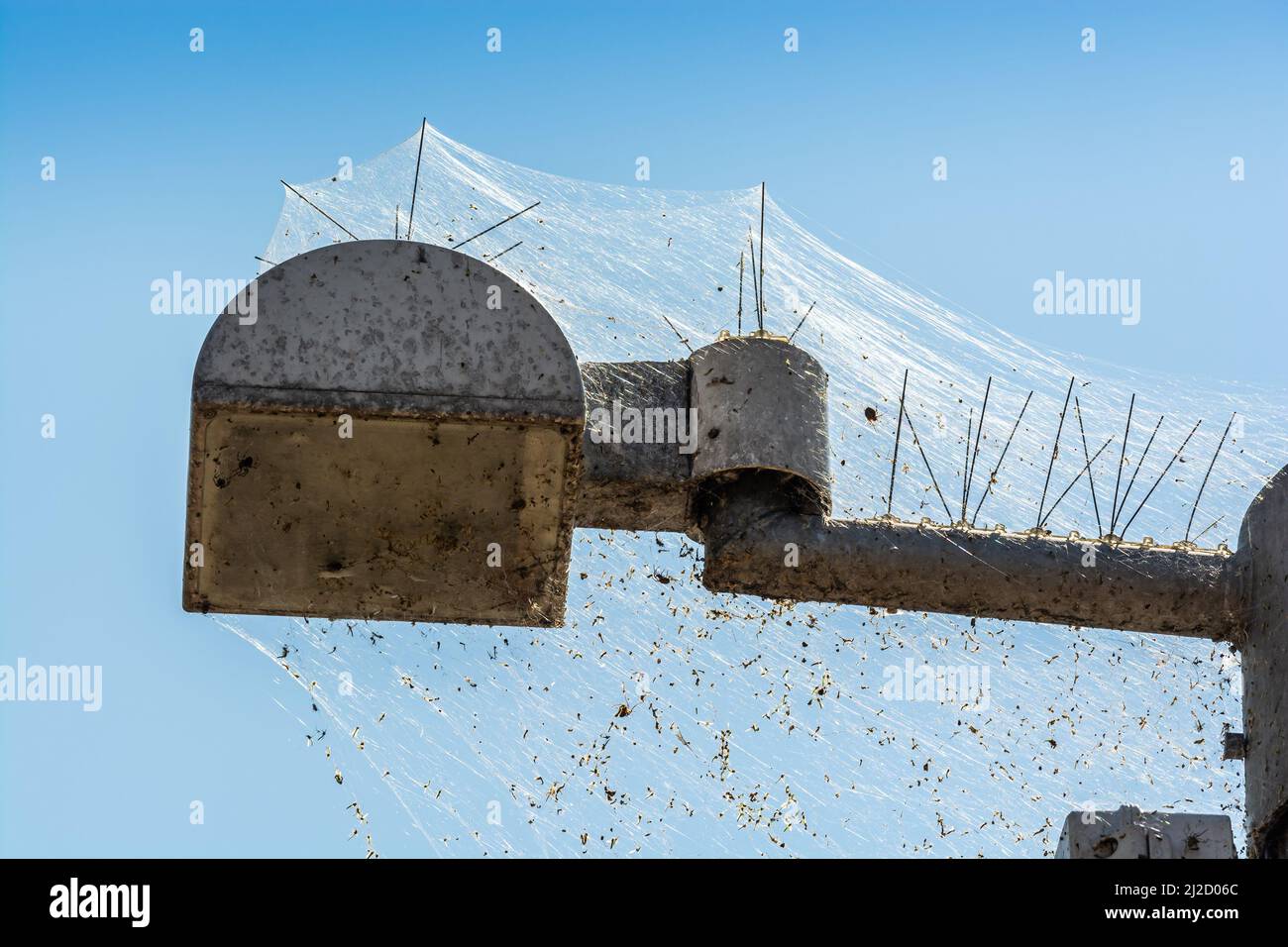 Plock, Polonia - 12 agosto 2021. Reti ragni che coprono le luci della città e le telecamere di sicurezza in un molo sul fiume Vistula Foto Stock