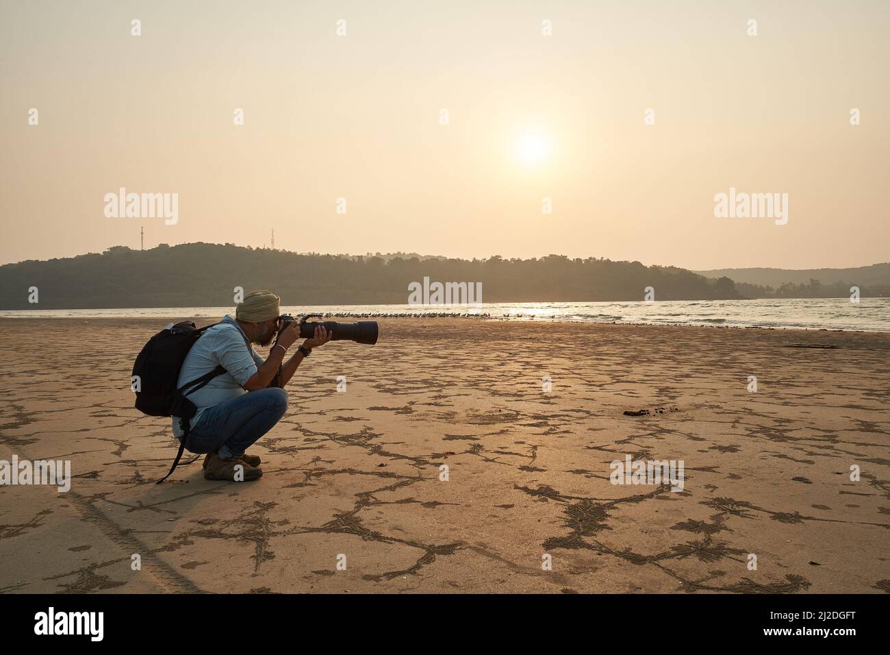 Sulle spiagge di Ratnagiri in Maharashtra. Quest'anno sono stati trovati meno uccelli migratori. La perdita di biodiversità è molto visibile. Foto Stock