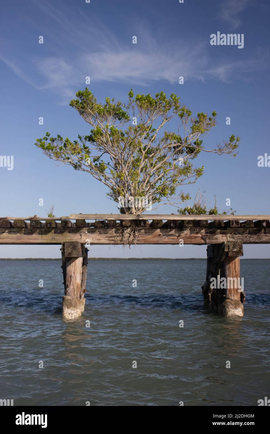 Recupero Di Un ponte ferroviario abbandonato Foto Stock