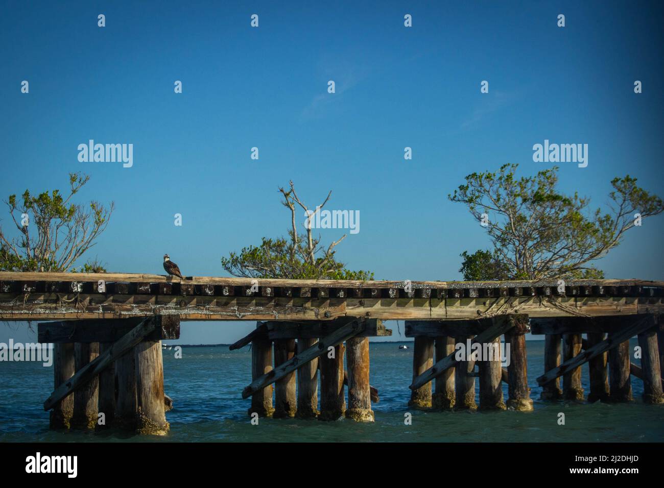 Recupero Di Un ponte ferroviario abbandonato Foto Stock