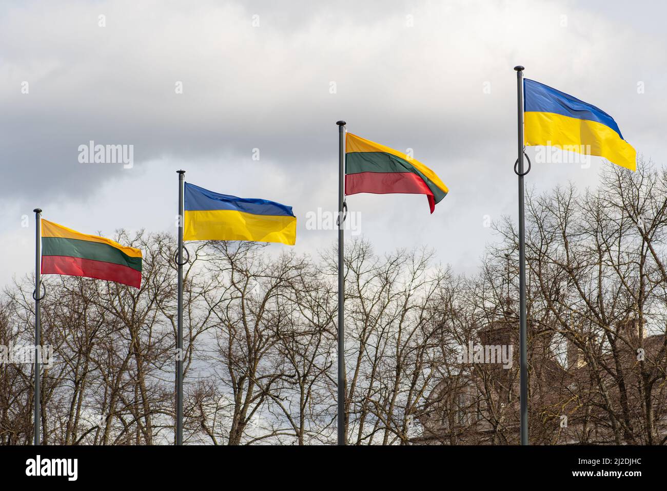 Bandiere ucraine e lituane che rinunciano insieme al cielo nuvoloso sullo sfondo Foto Stock