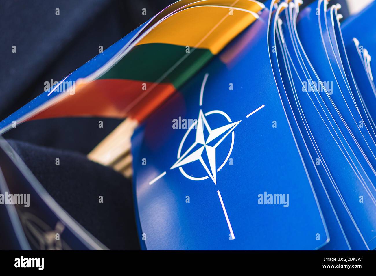 Bandiere e simboli della NATO, dell'Organizzazione del Trattato del Nord Atlantico e della Lituania, dell'unità di integrazione della forza della NATO, primo piano Foto Stock