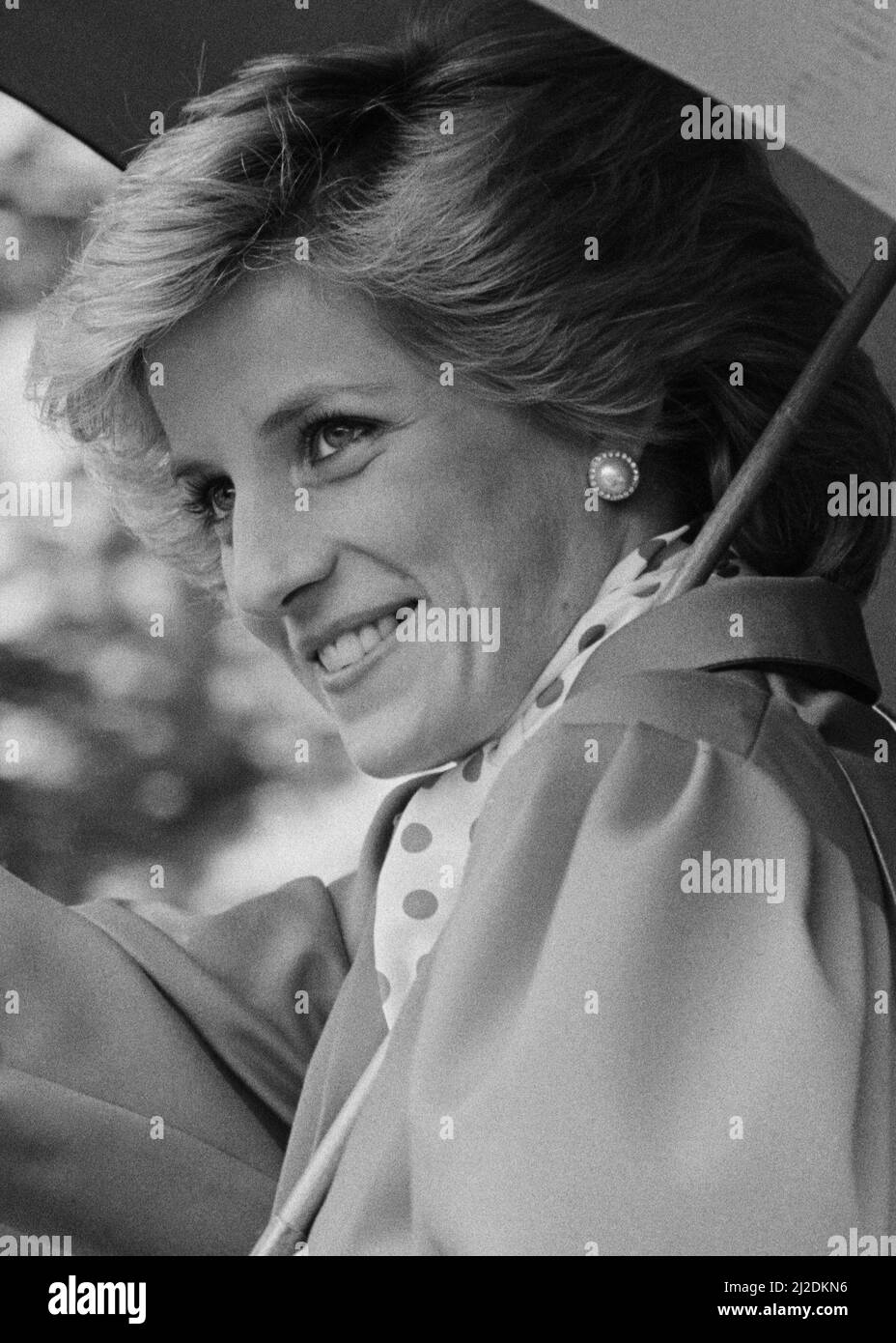 S.A.R. la Principessa Diana, la Principessa del Galles, visita il Salone agricolo di Ipswich, Ipswich, Suffolk. **QUESTO È UN RITAGLIO DI UN'ALTRA IMMAGINE ANCHE IN QUESTO INSIEME** Foto scattata il 28th maggio 1986 Foto Stock