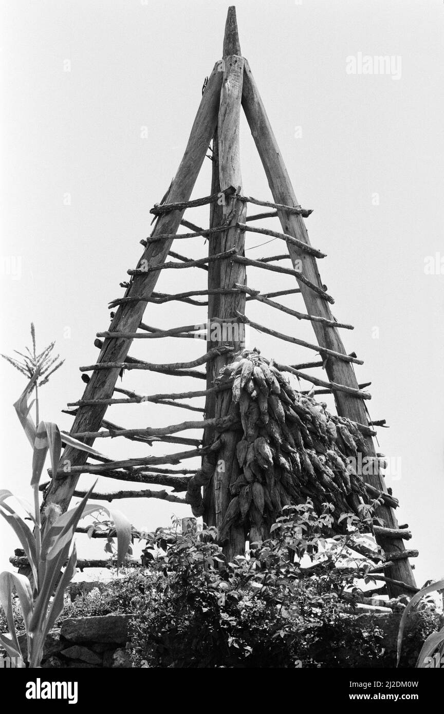 Panoramica generale dell'isola di Terceira, nell'arcipelago delle Azzorre, nell'Atlantico settentrionale, 21st luglio 1986. Frutta secca e verdure su rack piramidale sospeso. Foto Stock